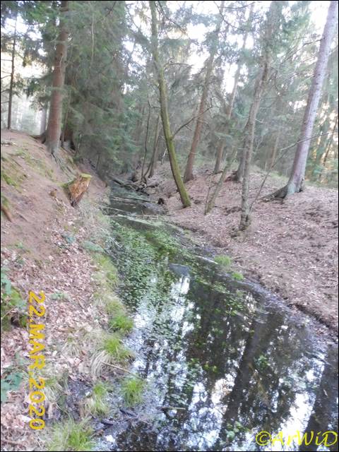 ©Spüren der Rieselwirtschaft (6)