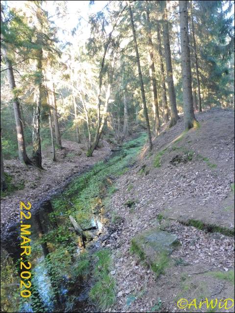 ©Spüren der Rieselwirtschaft (7)