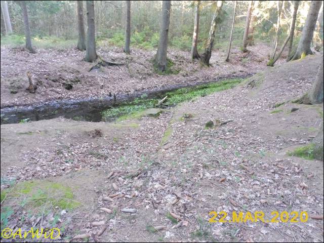 ©Spüren der Rieselwirtschaft (9)