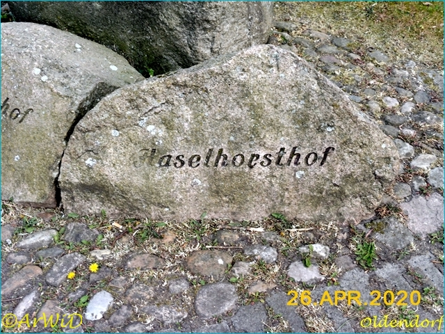 ©Dorfplatz Dreiangel (5)