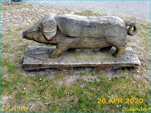 ©Schmidt und Schwein (2)