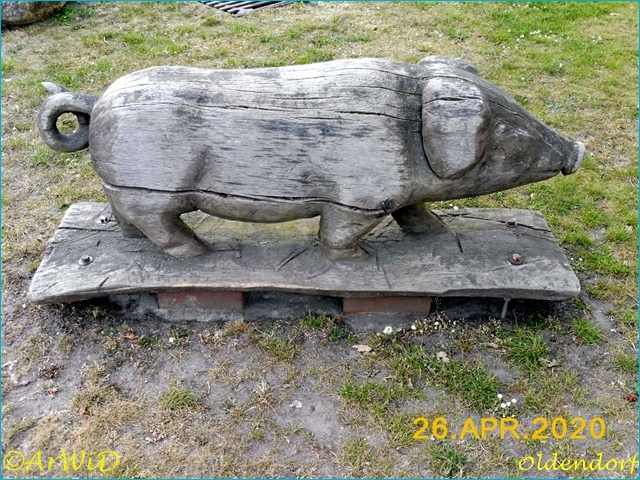 ©Schmidt und Schwein (4)