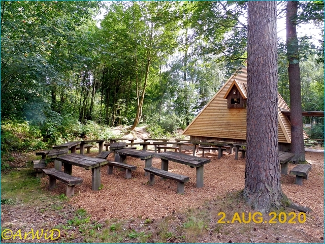 ©Waldklassenzimer Bergen 2020 (1)