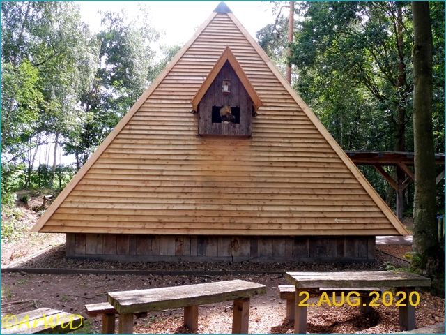 ©Waldklassenzimer Bergen 2020 (10)