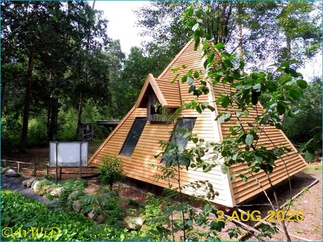 ©Waldklassenzimer Bergen 2020 (12)