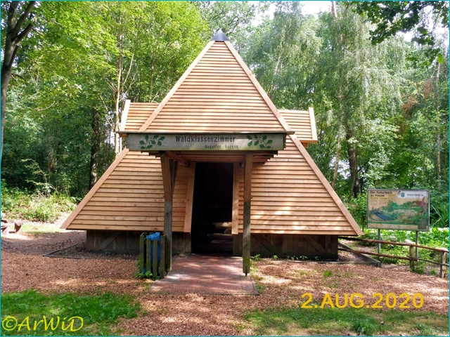 ©Waldklassenzimer Bergen 2020 (4)