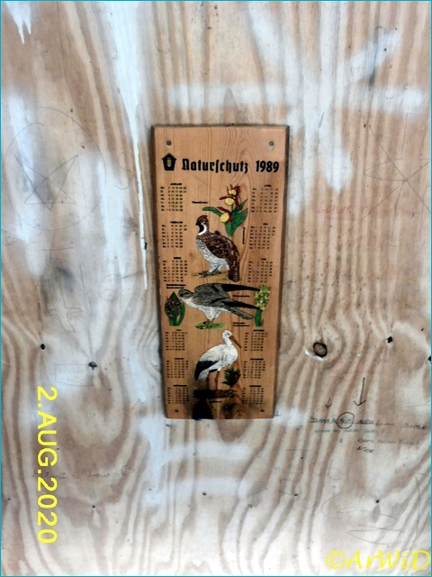 ©Waldklassenzimer Bergen 2020 (5)