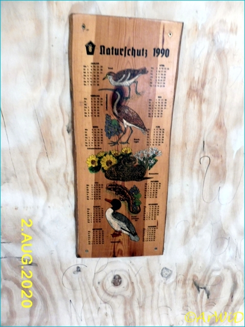 ©Waldklassenzimer Bergen 2020 (6)