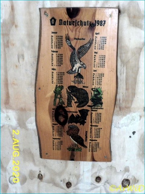 ©Waldklassenzimer Bergen 2020 (7)