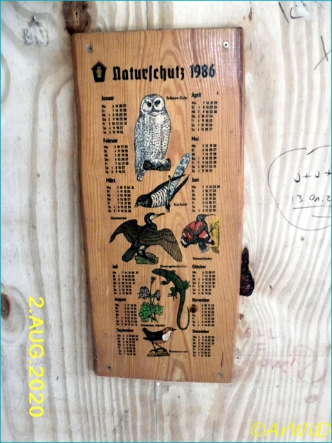 ©Waldklassenzimer Bergen 2020 (8)