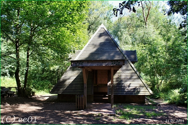 ©Waldklassenzimmer Bergen (1)