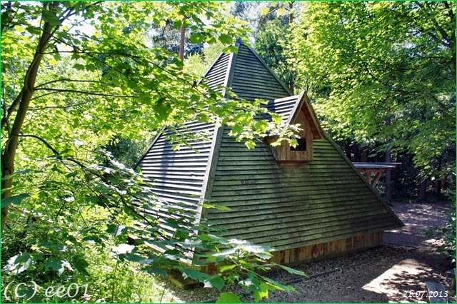 ©Waldklassenzimmer Bergen (2)