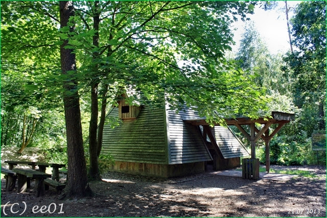 ©Waldklassenzimmer Bergen (3)