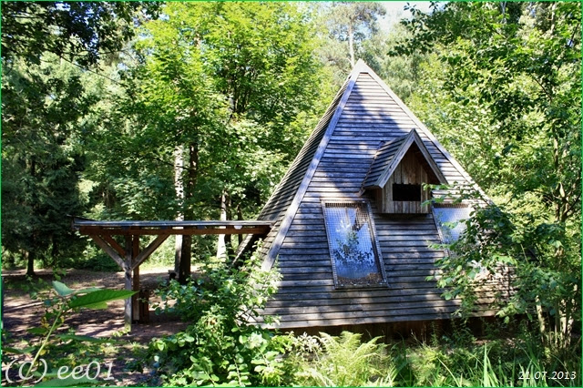 ©Waldklassenzimmer Bergen (4)