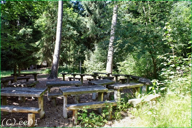 ©Waldklassenzimmer Bergen (6)