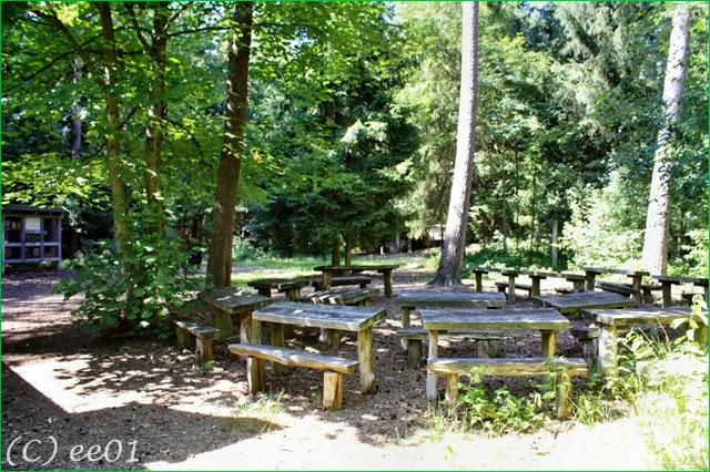 ©Waldklassenzimmer Bergen (7)