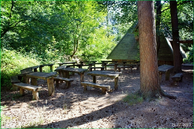 ©Waldklassenzimmer Bergen (8)